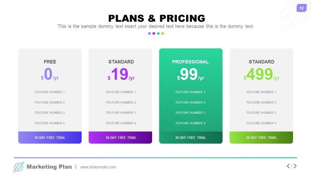 Plans and Pricing in Marketing Plan PPT